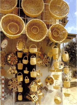 Karmi shops selling sestas