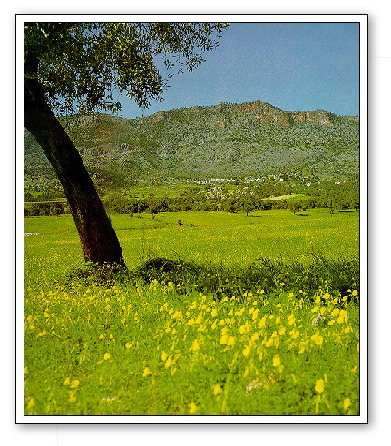 Değirmenlik (Kythera)