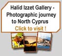 Halid Izzet Photography