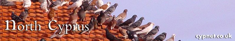 North Cyprus: Site Info - cypnet.co.uk