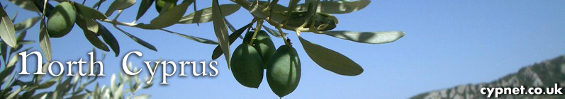 Cyprus Olives - cypnet.co.uk