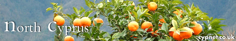 North Cyprus Home Page - cypnet.co.uk